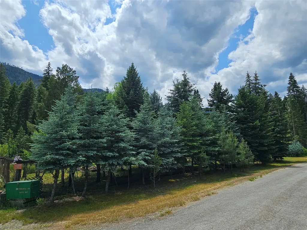 64 Ponderosa Lane Thompson Falls MT 59873