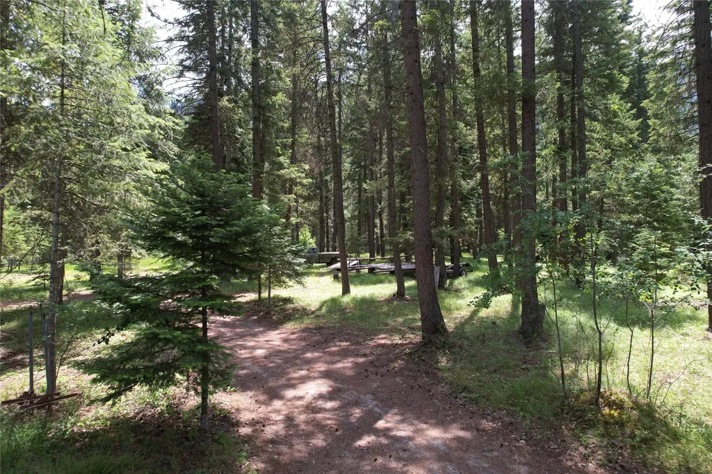 64 Ponderosa Lane Thompson Falls MT 59873
