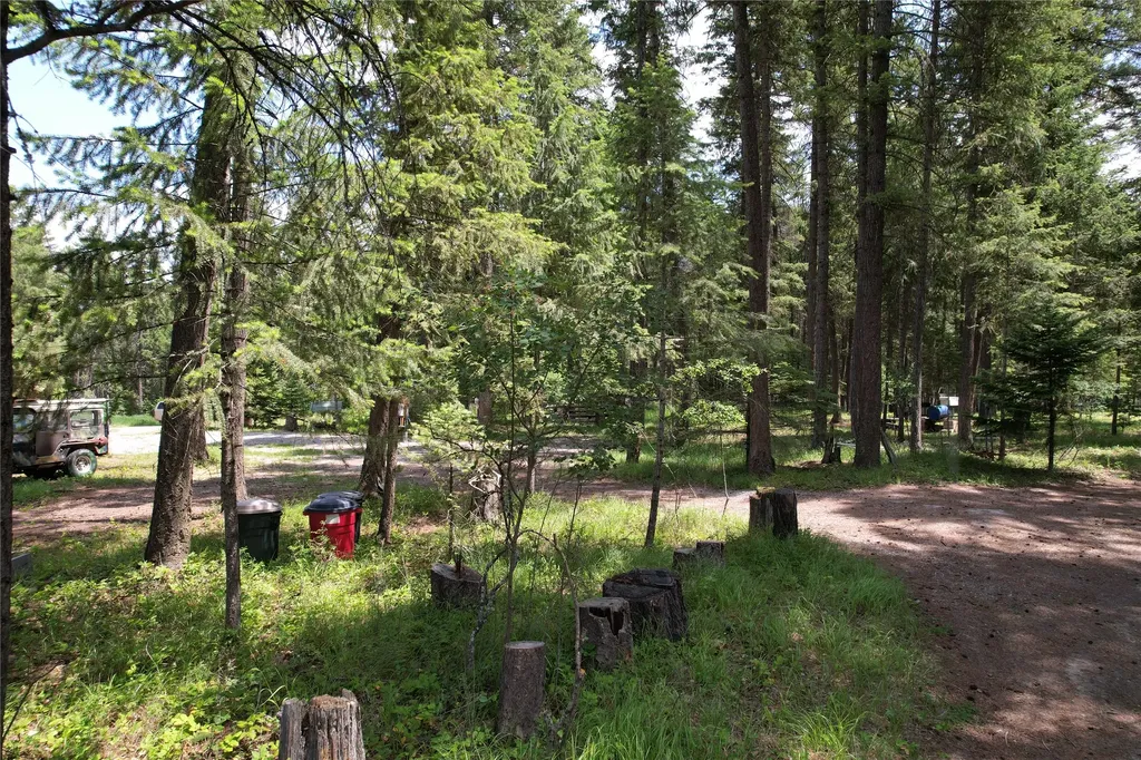 64 Ponderosa Lane Thompson Falls MT 59873