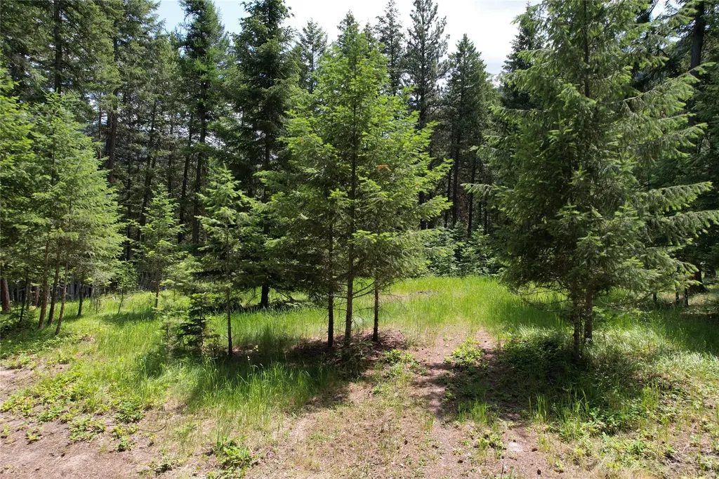 64 Ponderosa Lane Thompson Falls MT 59873
