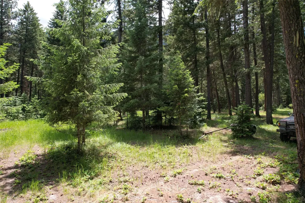 64 Ponderosa Lane Thompson Falls MT 59873