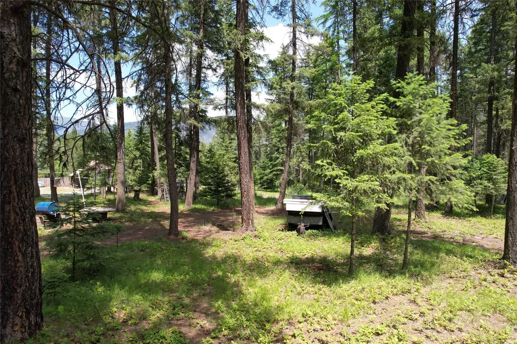 64 Ponderosa Lane Thompson Falls MT 59873
