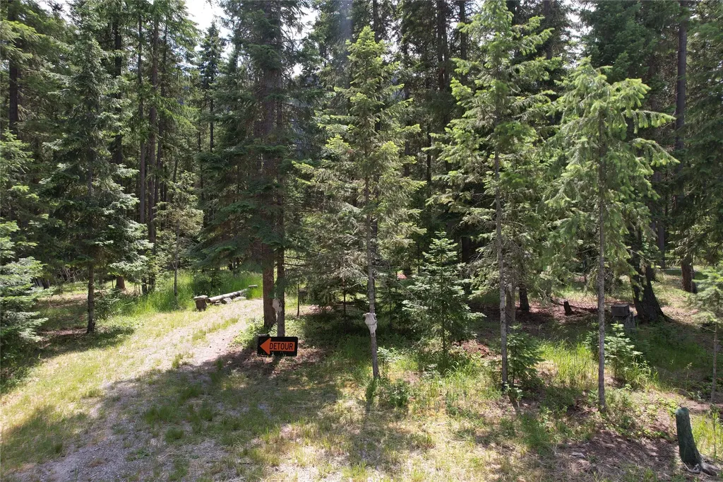 64 Ponderosa Lane Thompson Falls MT 59873
