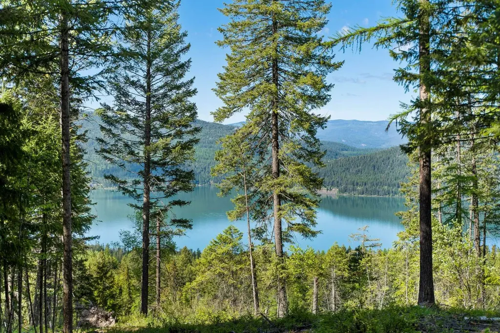 121 Whitefish Lookout Road Whitefish MT 59937
