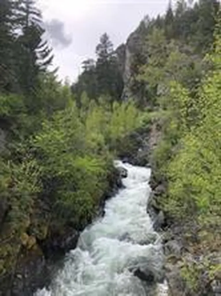 450 N Kootenai Creek Road Stevensville MT 59870