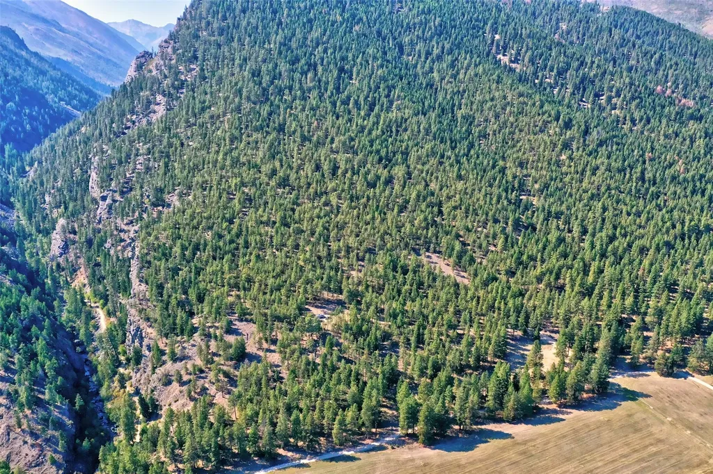 450 N Kootenai Creek Road Stevensville MT 59870
