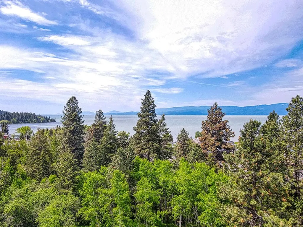 180 Vista Lane Bigfork MT 59911