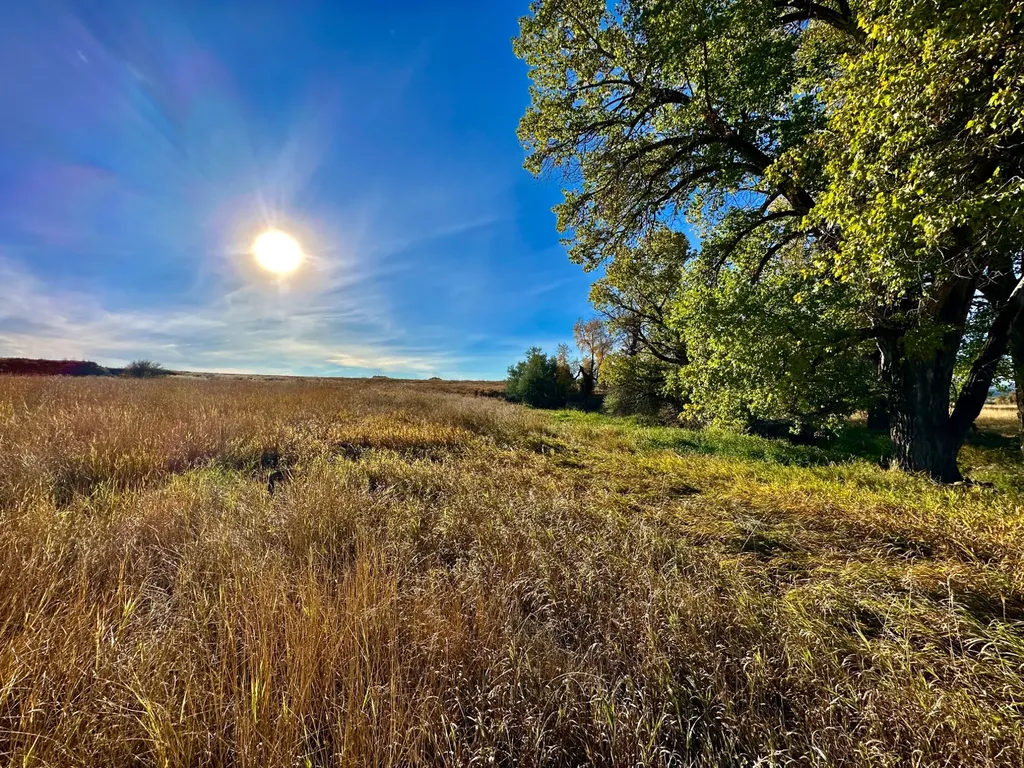 Tbd Centennial Road Columbus MT 59019