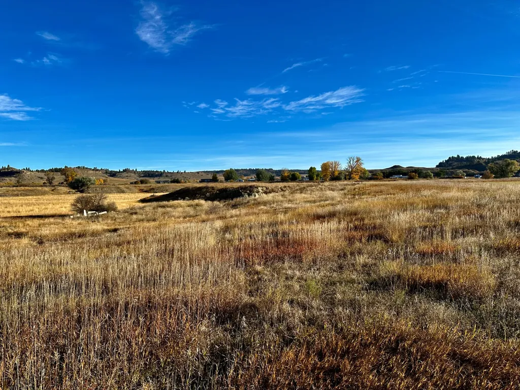 Tbd Centennial Road Columbus MT 59019