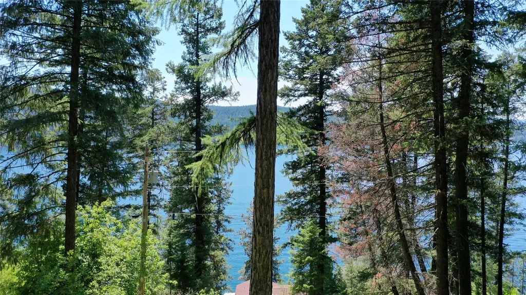 85 Scullers Way Whitefish MT 59937