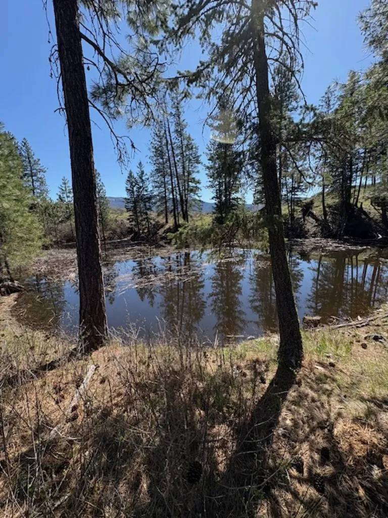 Nkn West Fork Combest Creek Road Plains MT 59859