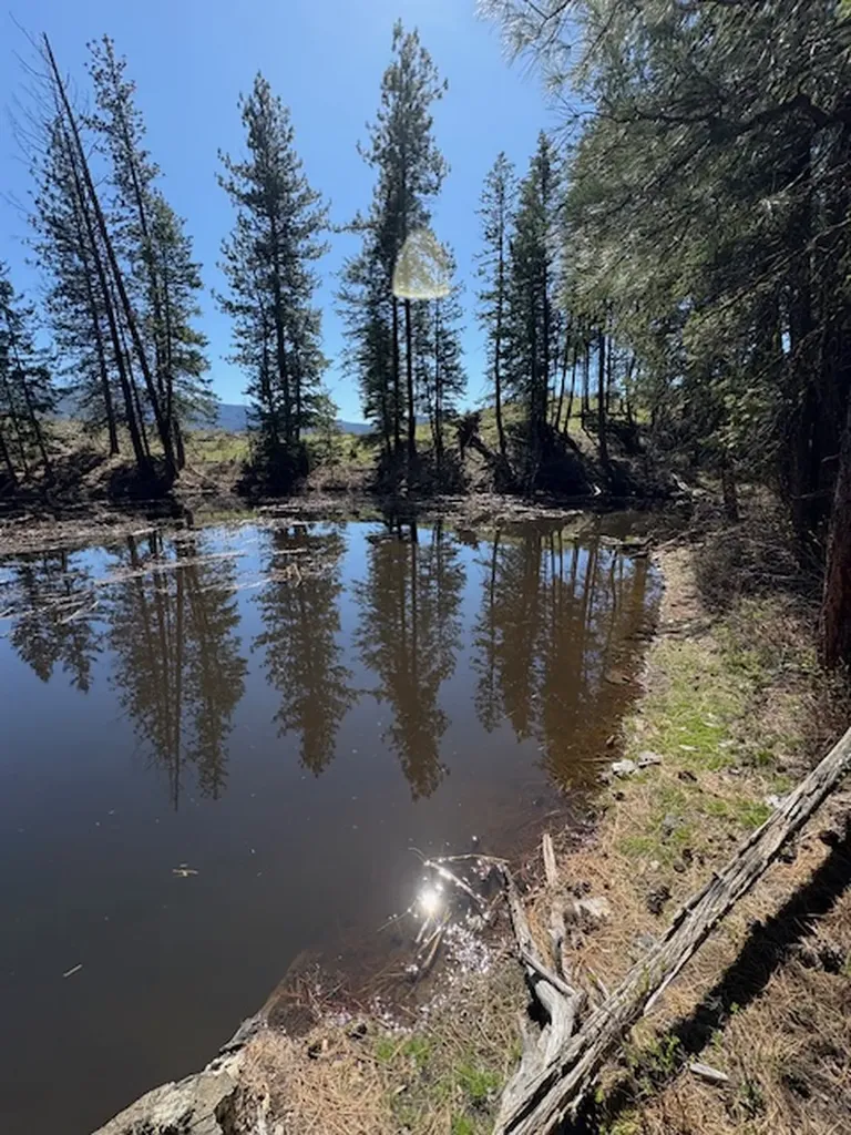 Nkn West Fork Combest Creek Road Plains MT 59859