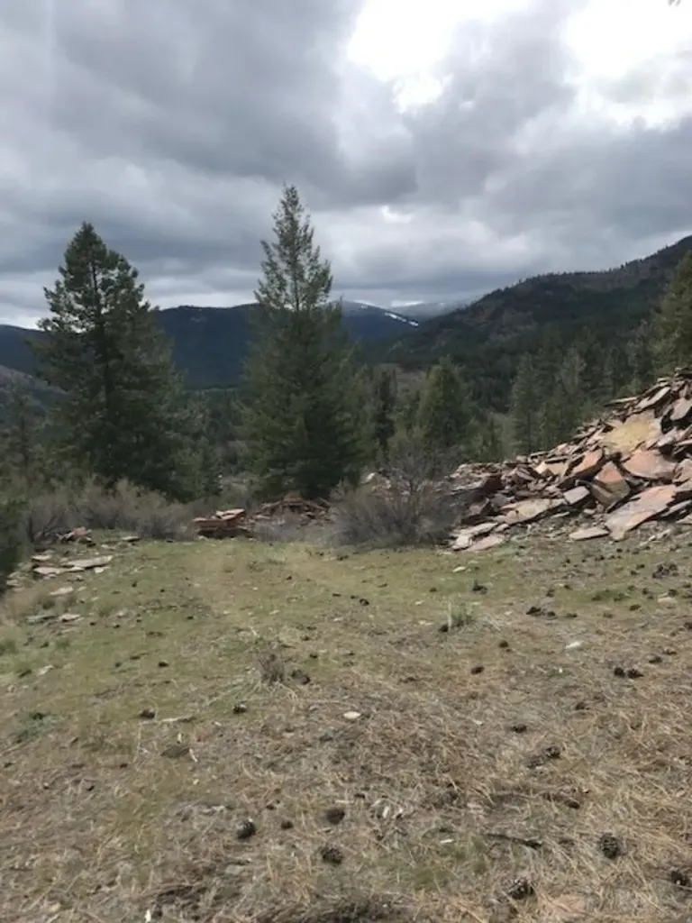 Nkn West Fork Combest Creek Road Plains MT 59859