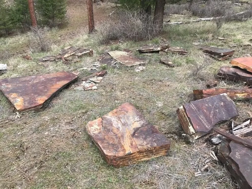 Nkn West Fork Combest Creek Road Plains MT 59859