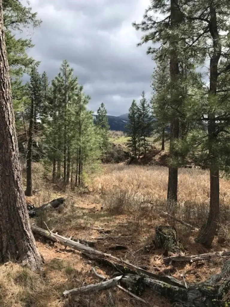 Nkn West Fork Combest Creek Road Plains MT 59859