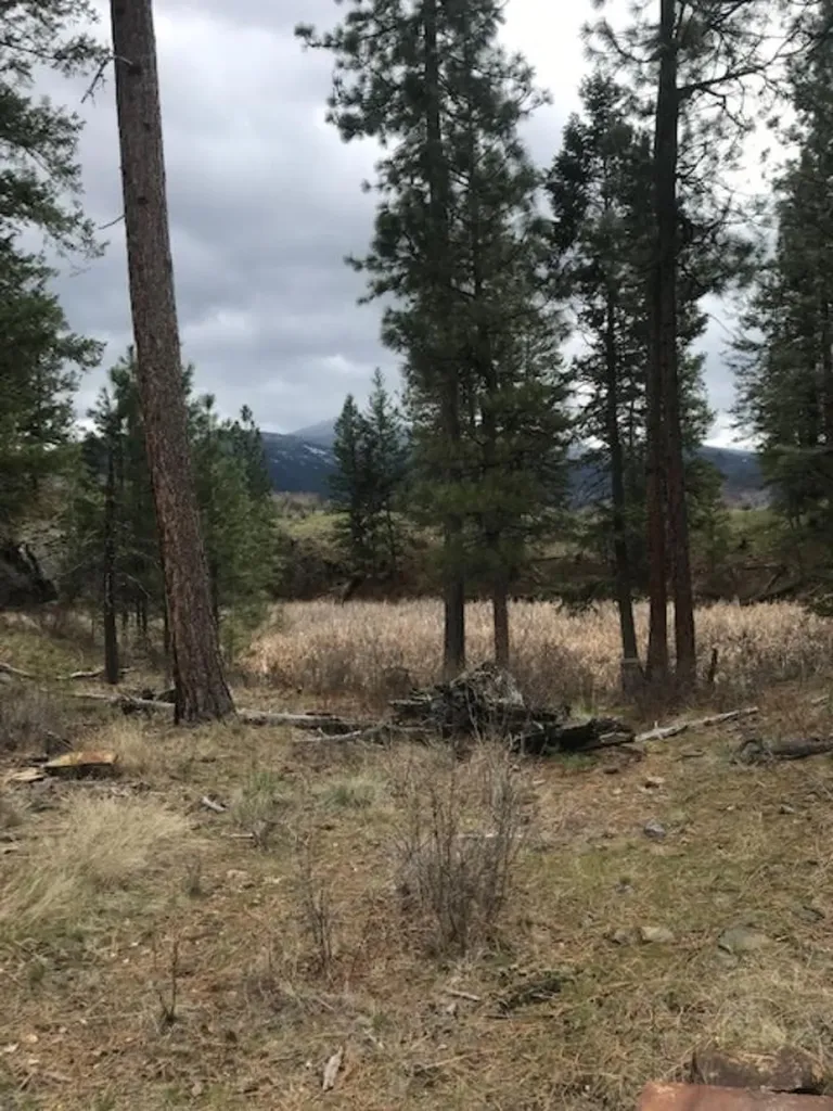 Nkn West Fork Combest Creek Road Plains MT 59859