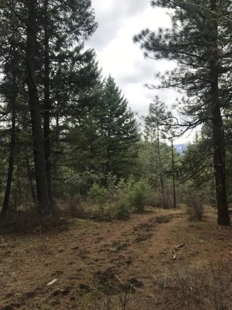 Nkn West Fork Combest Creek Road Plains MT 59859