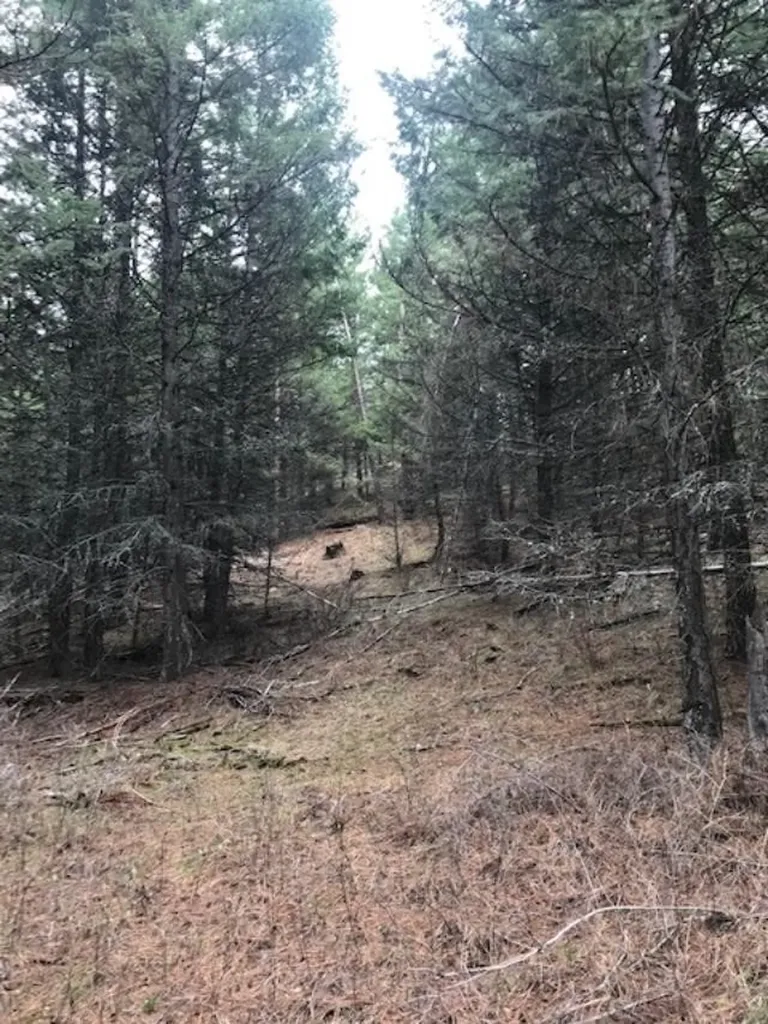Nkn West Fork Combest Creek Road Plains MT 59859
