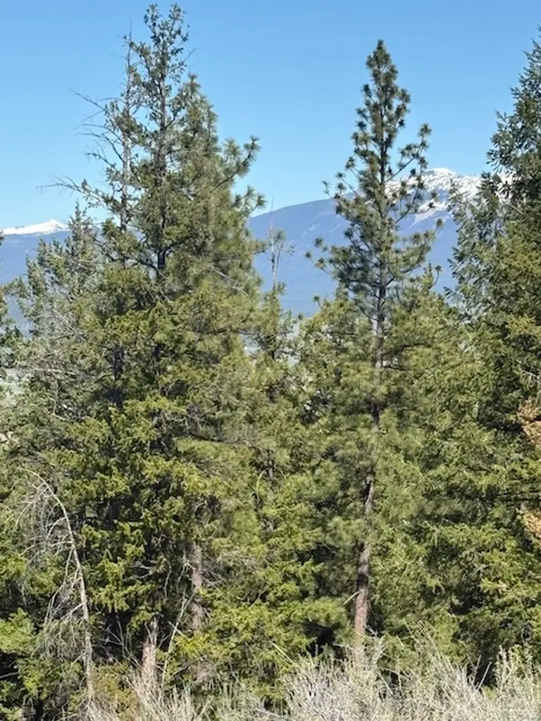 Nkn West Fork Combest Creek Road Plains MT 59859