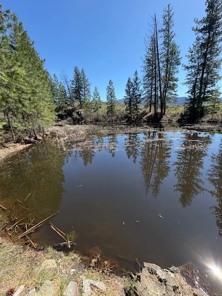Nkn West Fork Combest Creek Road Plains MT 59859