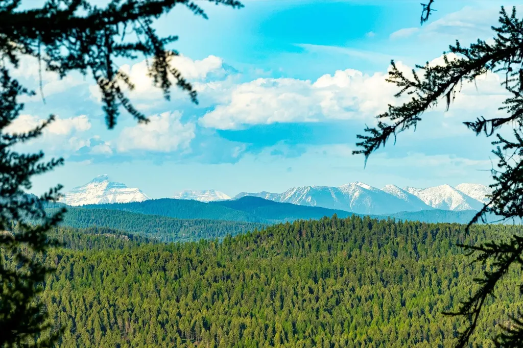 31 Forest Path Drive Whitefish MT 59937
