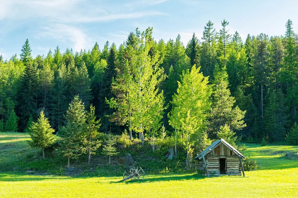 31 Forest Path Drive Whitefish MT 59937