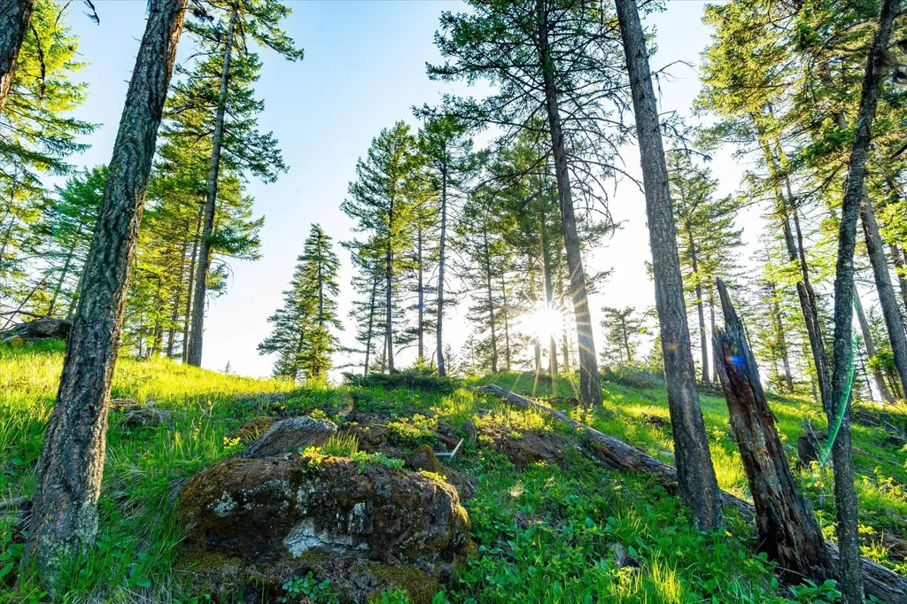 31 Forest Path Drive Whitefish MT 59937
