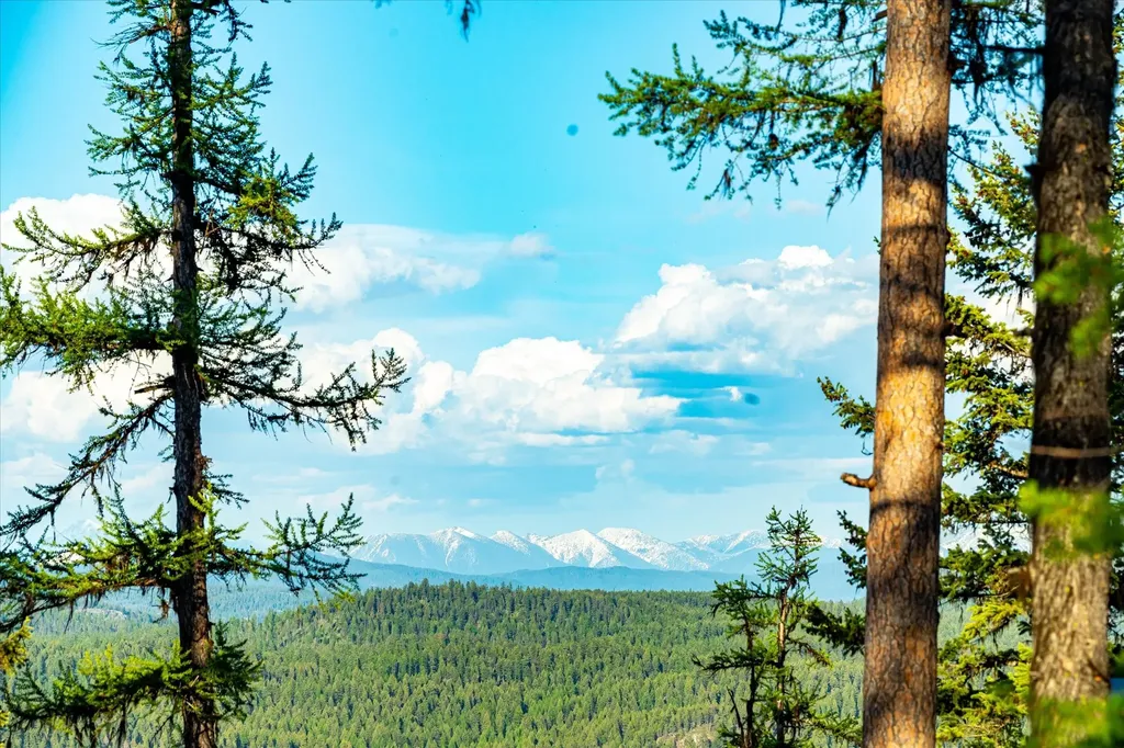31 Forest Path Drive Whitefish MT 59937