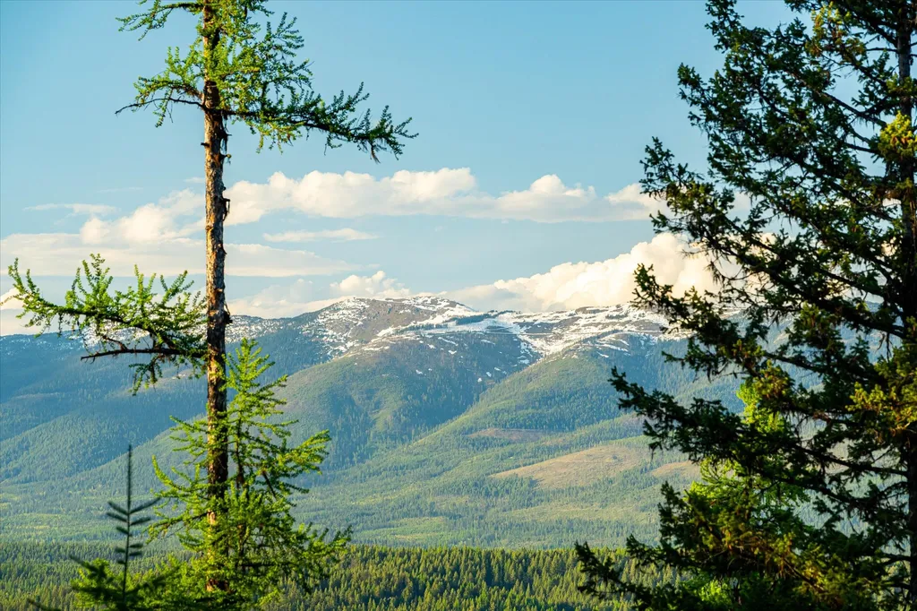 31 Forest Path Drive Whitefish MT 59937