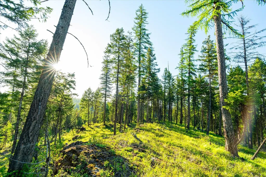 31 Forest Path Drive Whitefish MT 59937