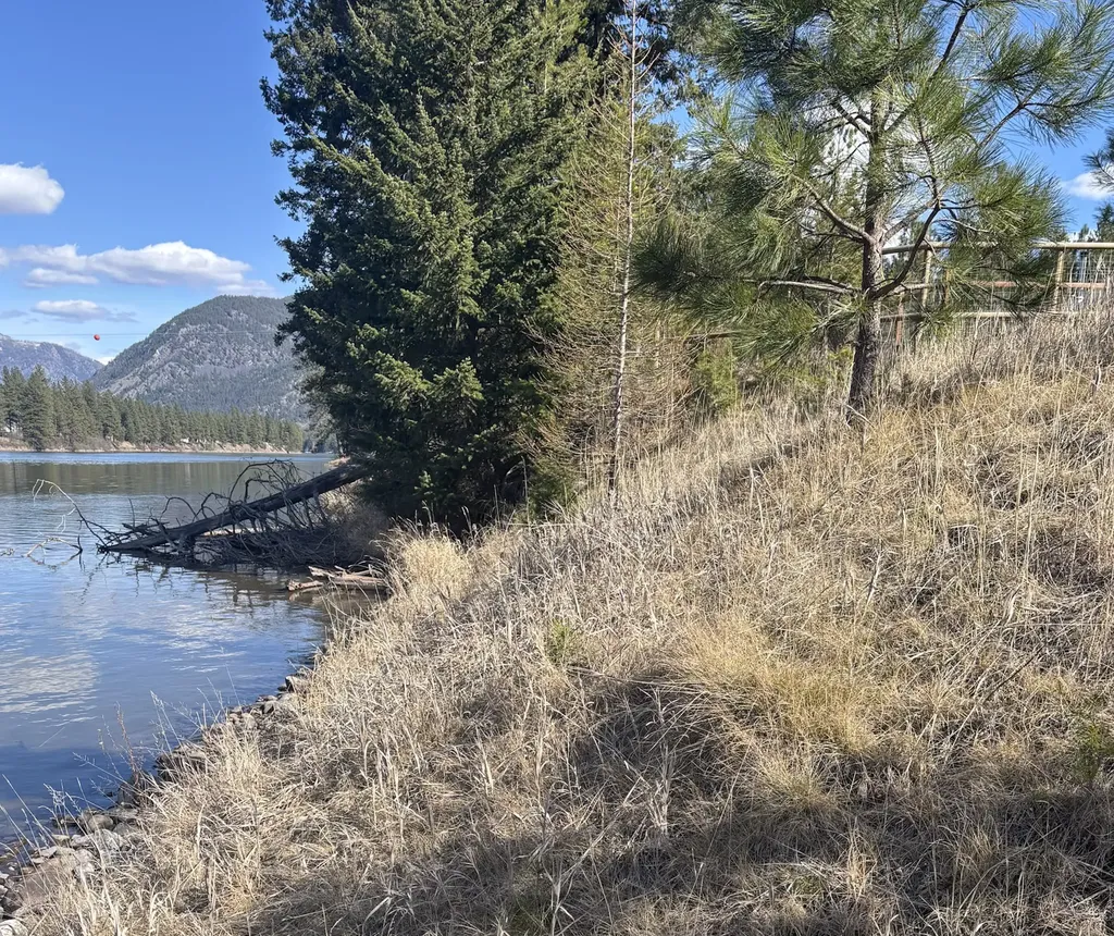 Nhn Whitham Drive Thompson Falls MT 59873