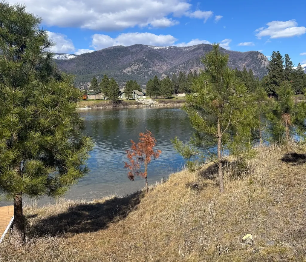 Nhn Whitham Drive Thompson Falls MT 59873