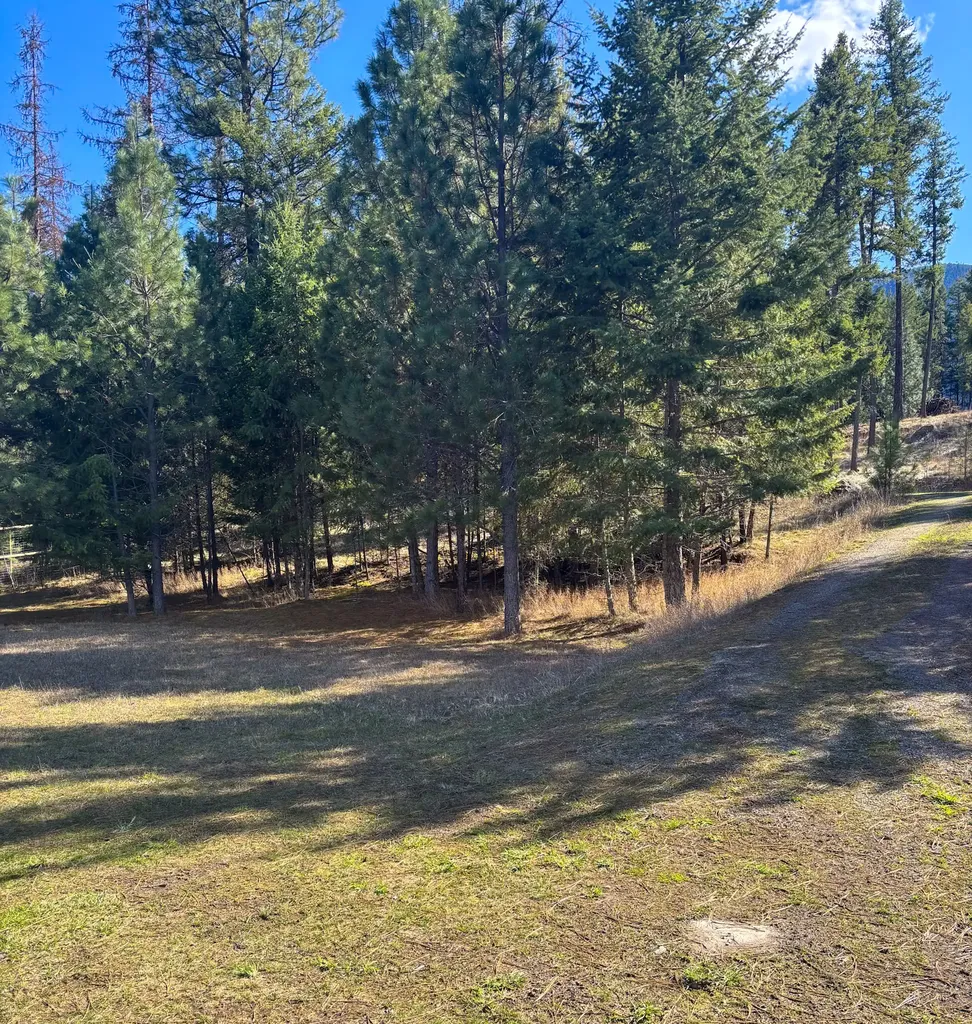 Nhn Whitham Drive Thompson Falls MT 59873