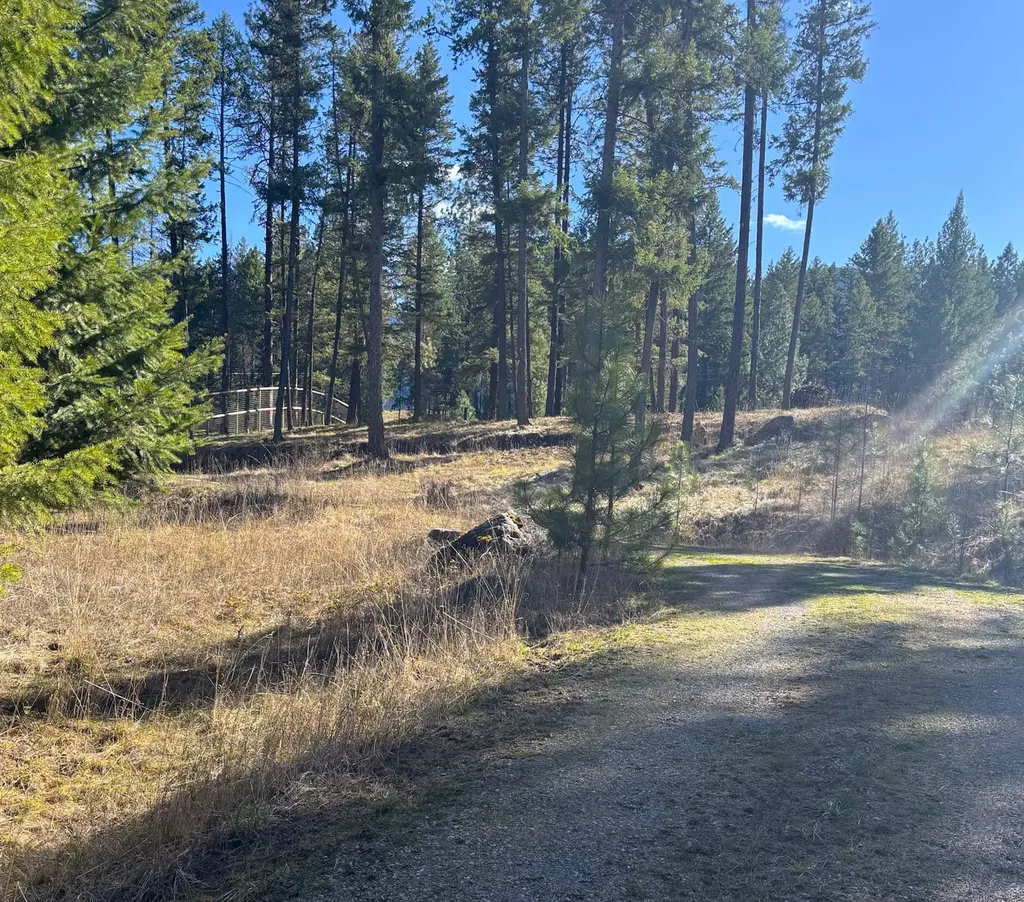 Nhn Whitham Drive Thompson Falls MT 59873