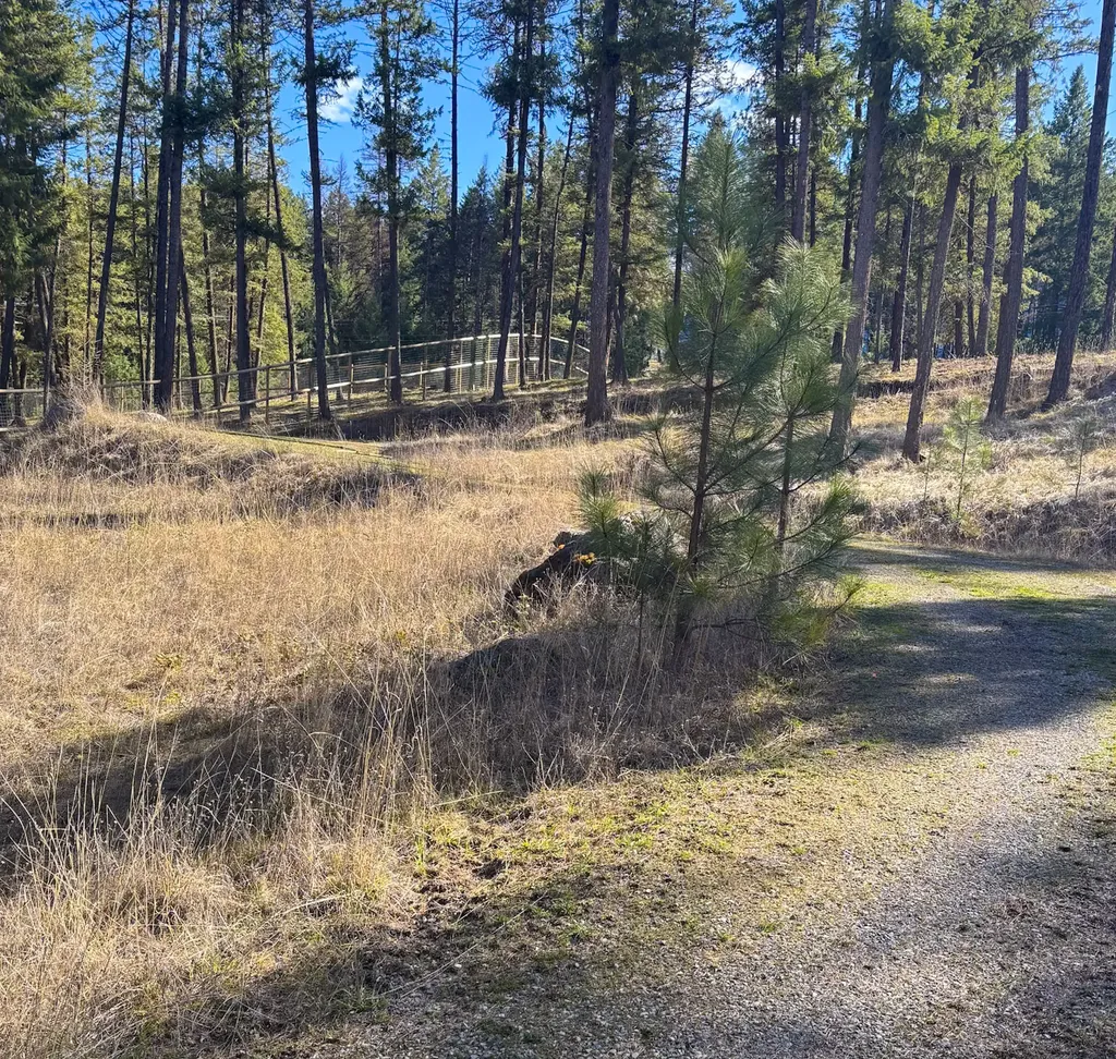 Nhn Whitham Drive Thompson Falls MT 59873