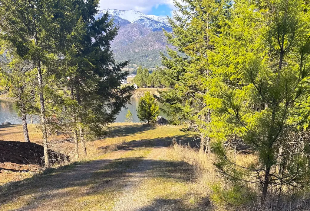 Nhn Whitham Drive Thompson Falls MT 59873