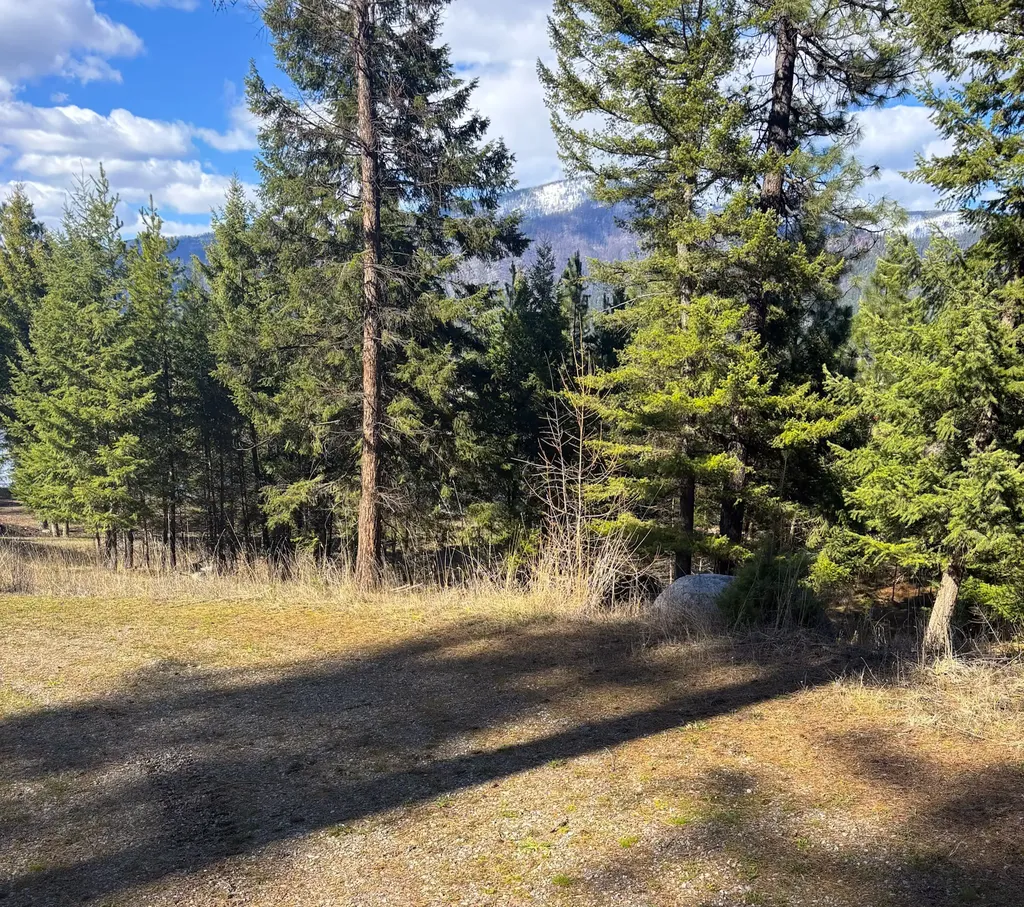 Nhn Whitham Drive Thompson Falls MT 59873