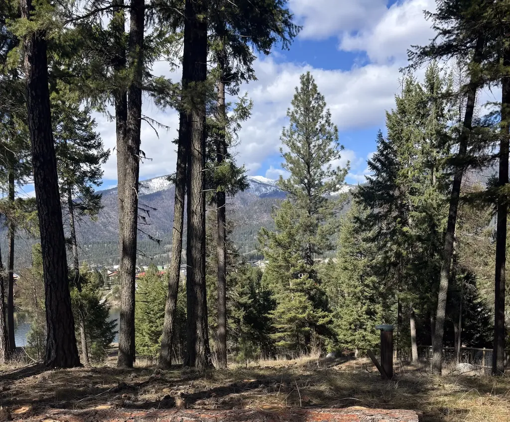 Nhn Whitham Drive Thompson Falls MT 59873
