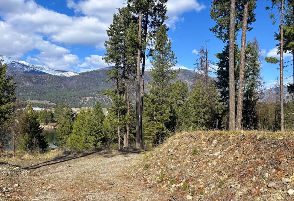 Nhn Whitham Drive Thompson Falls MT 59873