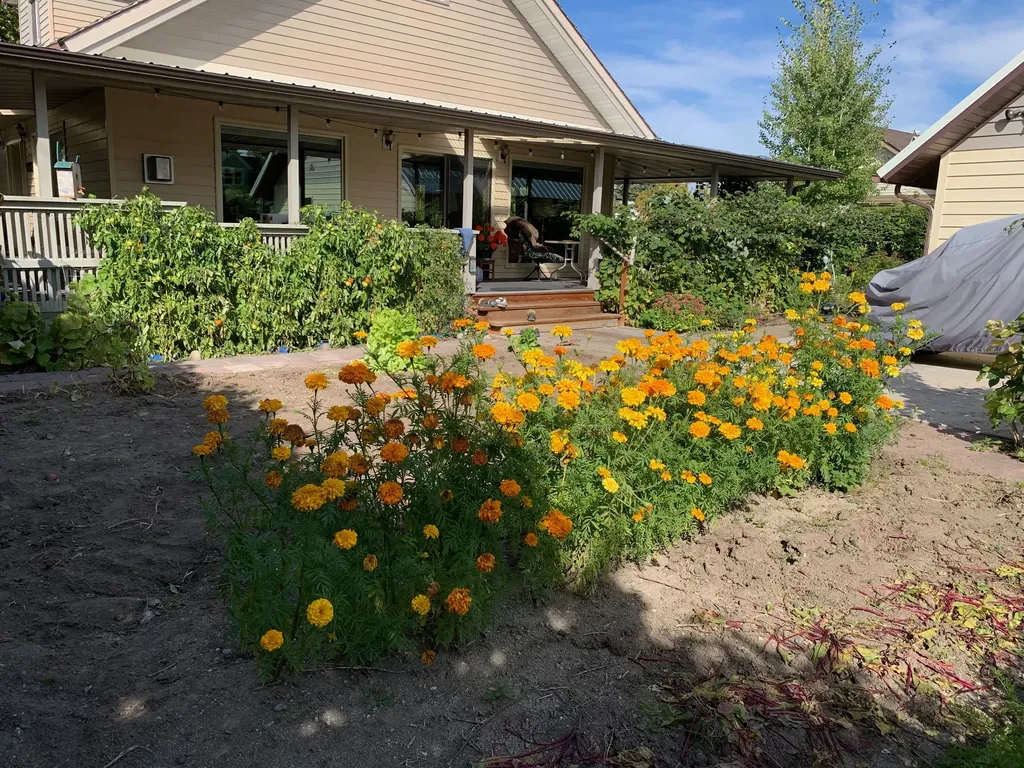 800 St Marys Avenue Deer Lodge MT 59722