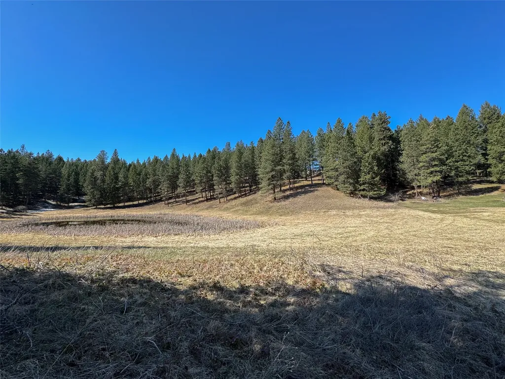 306 Parker Lakes Road Bigfork MT 59911