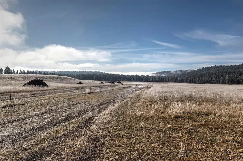 (Lot #6) 13442 Vannoy Lane Greenough MT 59823