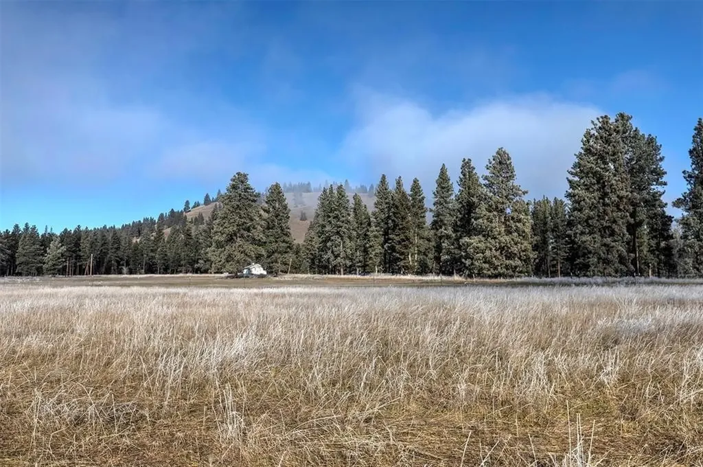 (Lot #4) 13442 Vannoy Lane Greenough MT 59823