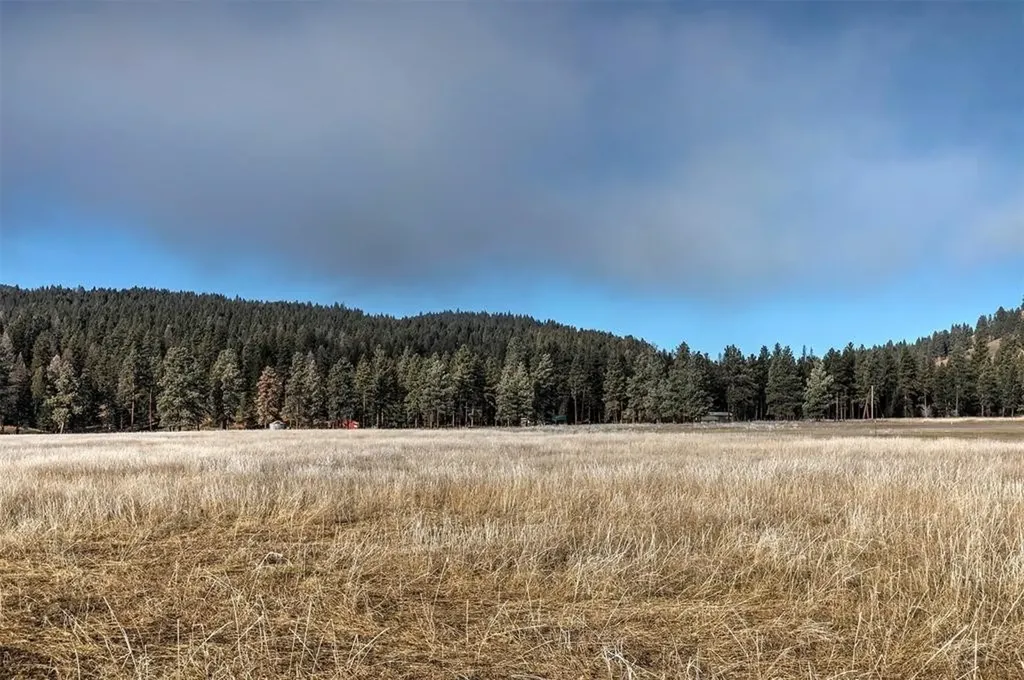(Lot #19) 13442 Vannoy Lane Greenough MT 59823