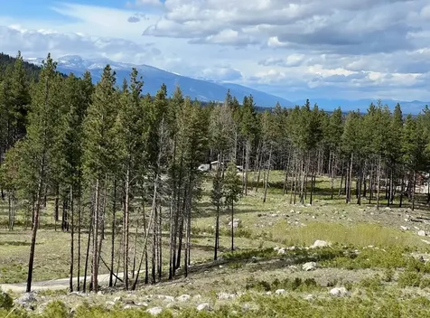 493 Roaring Lion Road Hamilton MT 59840