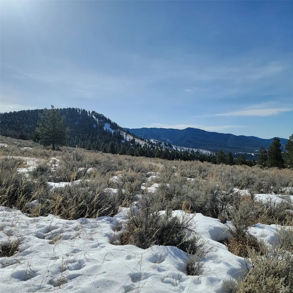 Lot B Sapphire Ranch Trail Corvallis MT 59828