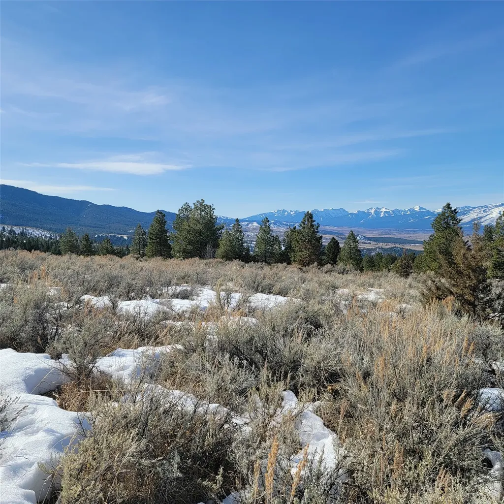 Lot B Sapphire Ranch Trail Corvallis MT 59828