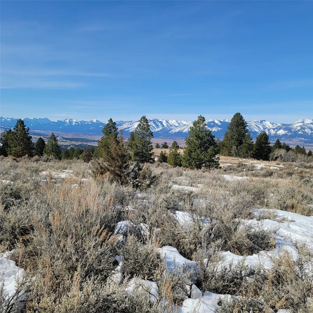 Lot B Sapphire Ranch Trail Corvallis MT 59828