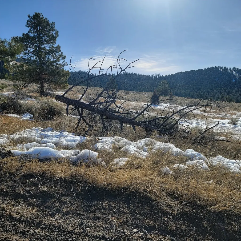Lot B Sapphire Ranch Trail Corvallis MT 59828