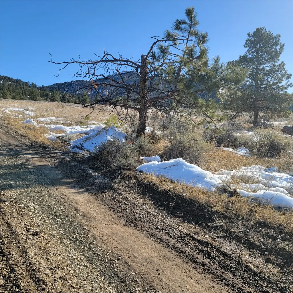 Lot B Sapphire Ranch Trail Corvallis MT 59828
